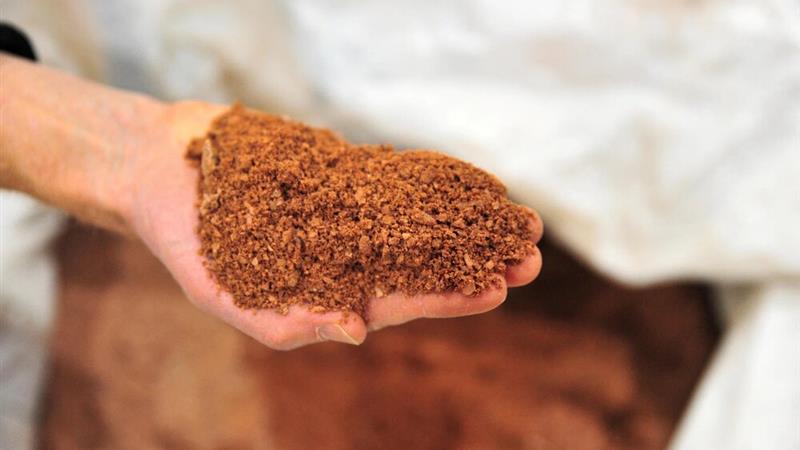 کمبود صنایع فراوری و چالشهای مالکیتی از مهمترین موانع بهرهبرداری بهینه معادن خراسان جنوبی