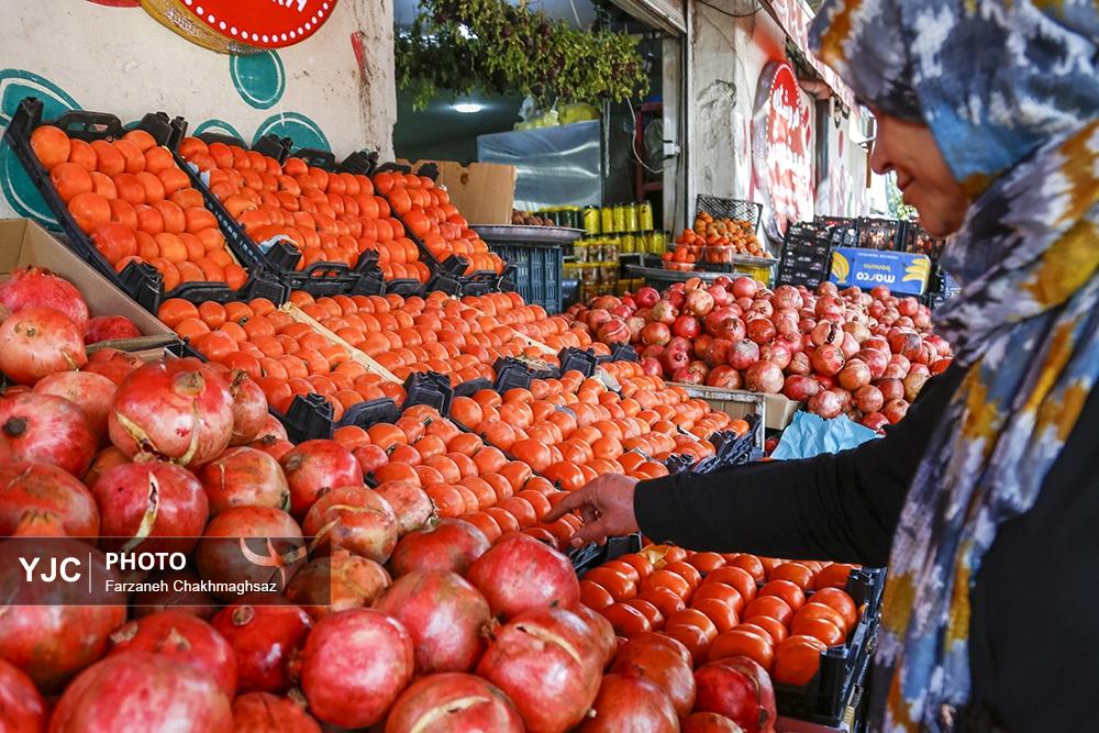 فصل شیرین خرمالوی سرخ باغ‌های شیراز