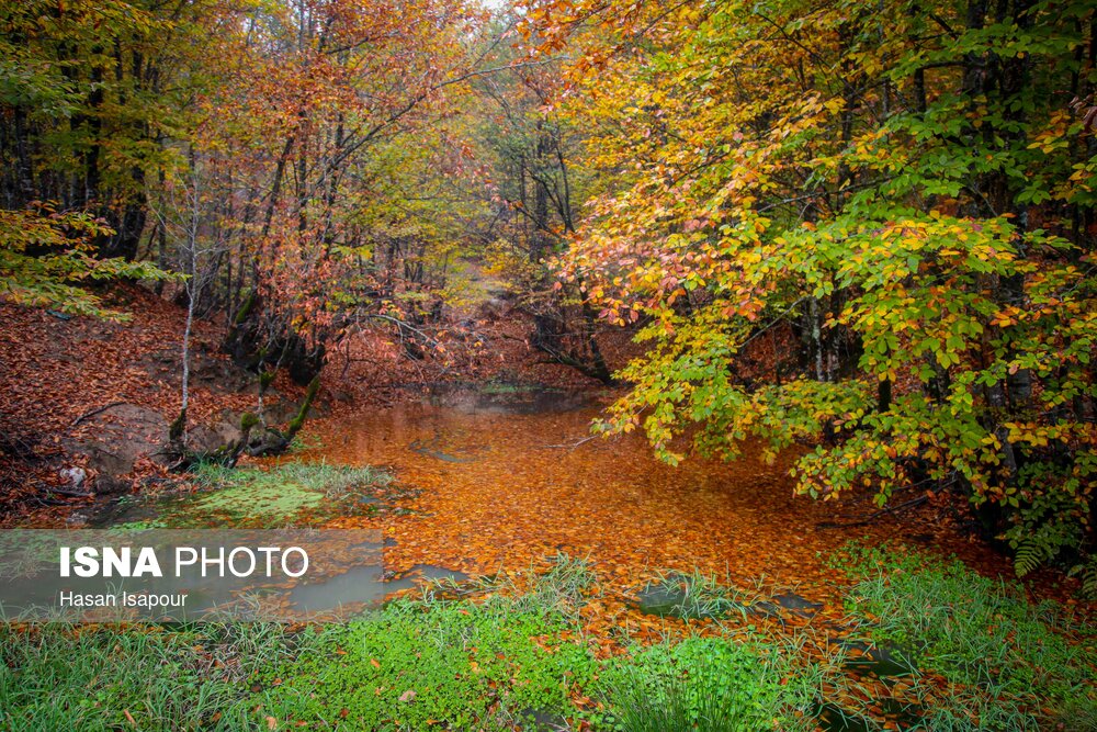 سوادکوه؛ مقصدی برای تماشای زودترین پاییز شمال