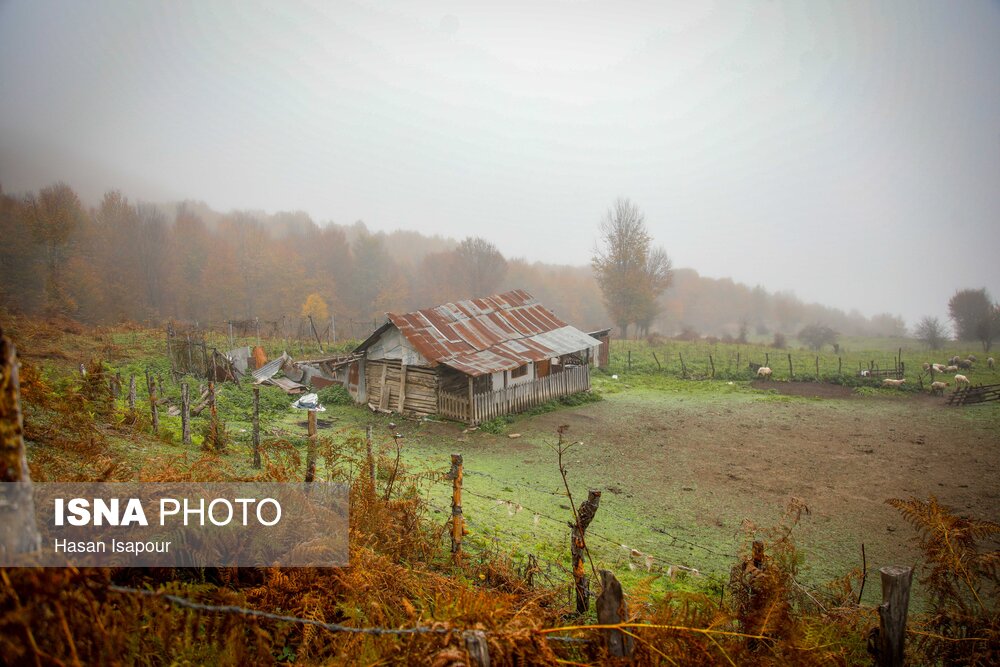سوادکوه؛ مقصدی برای تماشای زودترین پاییز شمال