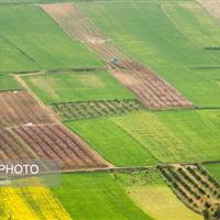 اجرای الگوی کشت و طرح سازگاری با خشکسالی در دستور کار جهادکشاورزی زنجان