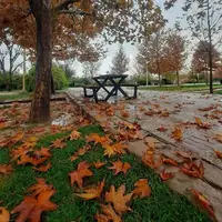 تداوم هوای سرد در استان فارس؛ فعلاً خبری از باران نیست