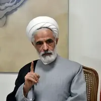 معاون حقوقی رئیسجمهور: روشهای اصولی برای اجرای قانون اساسی وجود ندارد