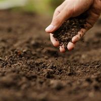 فرسایش خاک از مهمترین دغدغههای بخش کشاورزی در خراسان شمالی