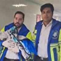 تولد نوزاد یزدی در منزل