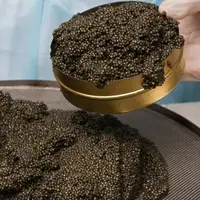 هشت کیلوگرم خاویار قاچاق در فریدونکنار کشف شد