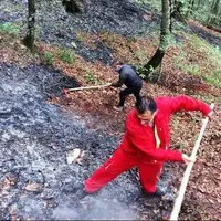 هشدار درباره افزایش دما و خطر آتش‌سوزی در جنگل‌های مازندران