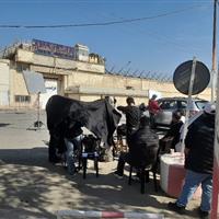 تصویربرداری  فیلم سینمایی « قله اورست » در ندامتگاه قزلحصار