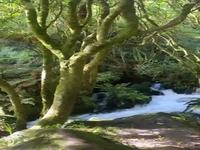 چشمه‌های آبی در پوتارورو ؛ شاهکار منحصر به فرد طبیعت