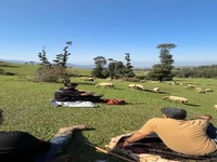 آواز زیبای مهدی دارابی در دل طبیعت