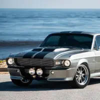 لحظاتی با «ماستنگ النور» افسانه ای