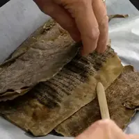 گوناگون/ قدیمی‌ ترین کتاب نروژ با جلدی از پوست فک 