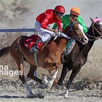 تاخت اصالت و زیبایی در جرگلان خراسانشمالی