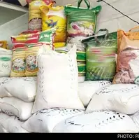 واردات برنج حدود ۲ برابر شد؛ برنج هندی صدرنشین برنجهای خارجی