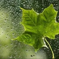 همچنان خبری از بارش در چهارمحال و بختیاری نیست!