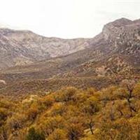 «مانشت و قلارنگ» زیست‌بوم طبیعت وحشی زاگرس در ایلام