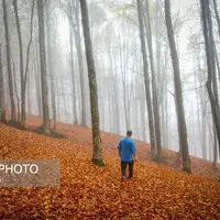  سوادکوه؛ مقصدی برای تماشای زودترین پاییز شمال