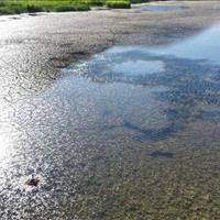 بحران کم‌آبی در اروپا؛ انگلیس در آستانه خشکسالی بی‌سابقه