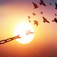 شاکی قزوینی طلب ۳۱ میلیارد تومانی خود را بخشید