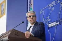 سخنگوی وزارت خارجه و اصطلاحات نسل زِد