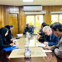 طرح تحقیقاتی و توسعهای باغات دیم در ایلام کلید میخورد