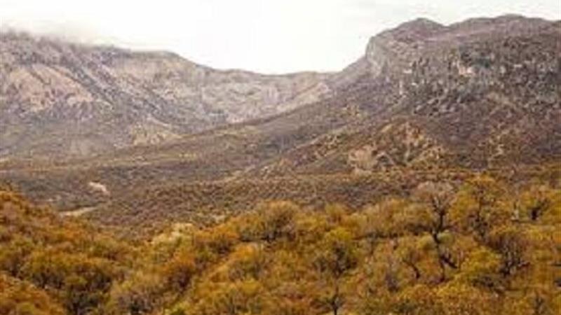 «مانشت و قلارنگ» زیستبوم طبیعت وحشی زاگرس در ایلام