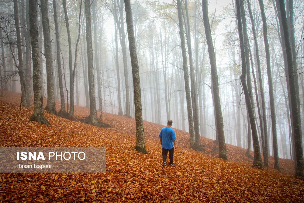  سوادکوه؛ مقصدی برای تماشای زودترین پاییز شمال