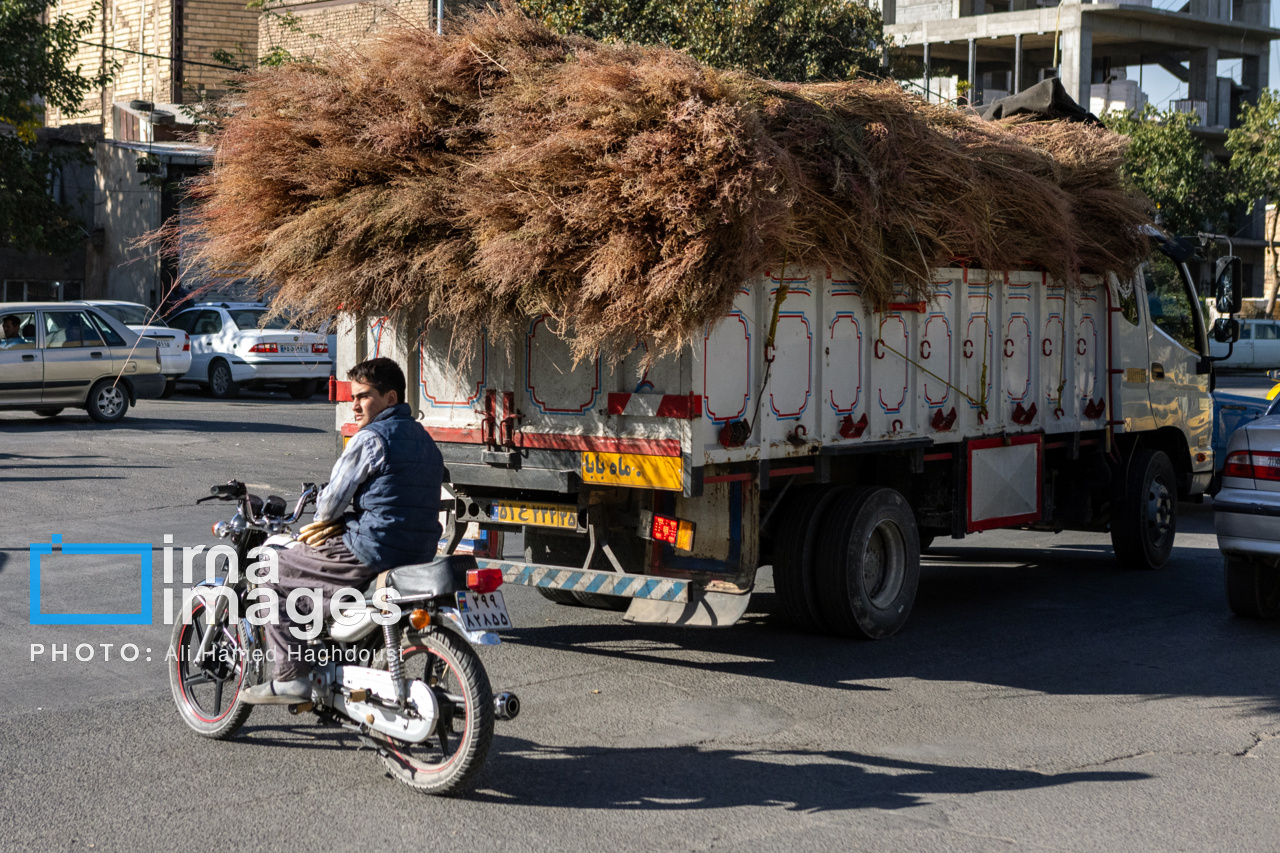 جاروی سنتی قَرامَلِک در دستان بانوان خانهدار تبریز