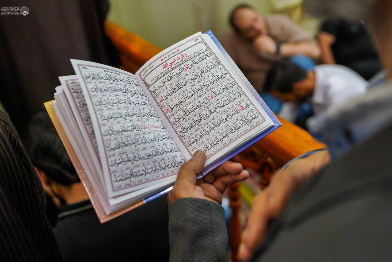 حال‌و‌هوای حرم مطهر علوی در روز زیارتی آن حضرت