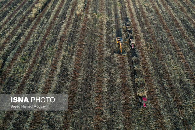 اهوازیها ماهانه ۳ همت صرف تعویض فیلتر دستگاههای تصفیه آب میکنند!