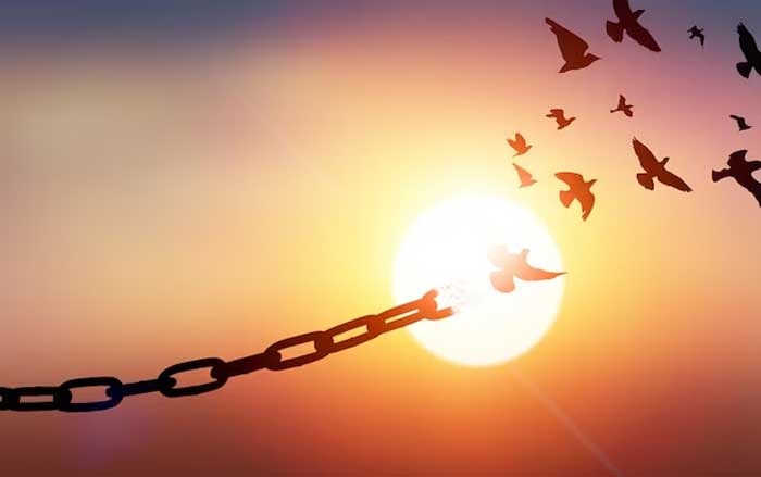 شاکی قزوینی طلب ۳۱ میلیارد تومانی خود را بخشید