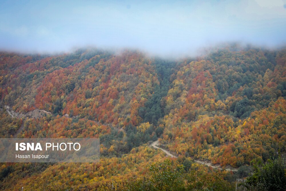 سوادکوه؛ مقصدی برای تماشای زودترین پاییز شمال