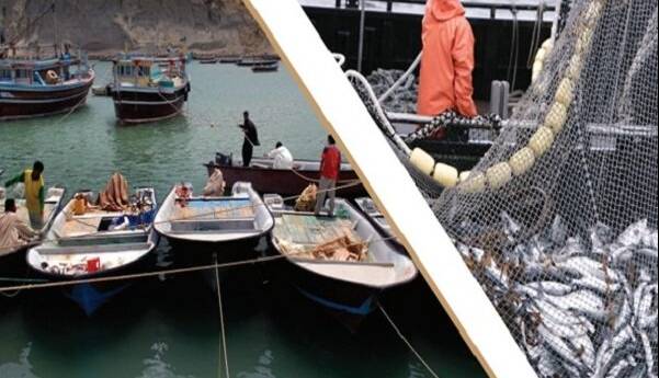 چابهار در مسیر تبدیل به قطب شیلات مدرن و مکانیزه کشور