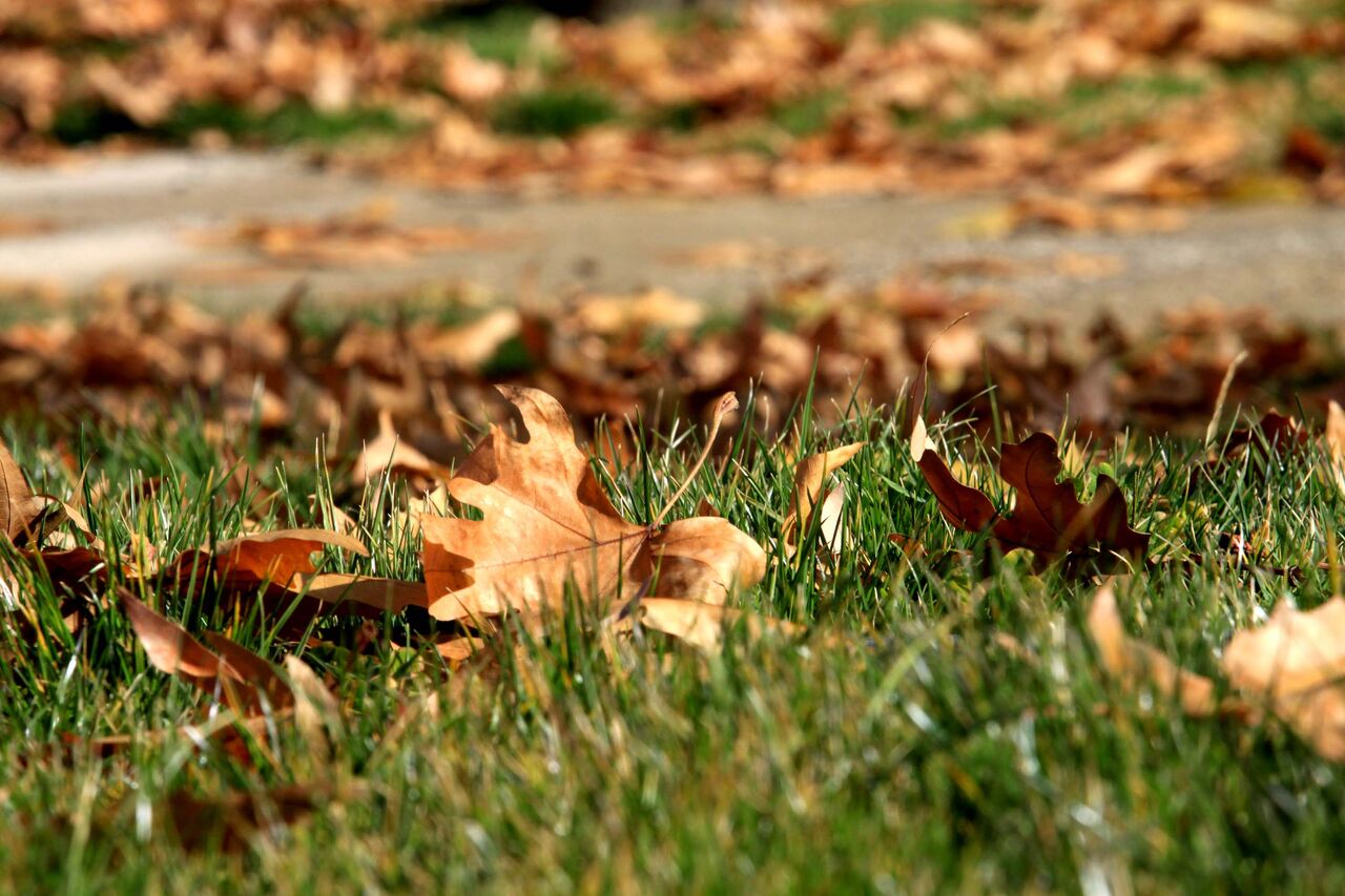 پاییز کهگیلویه و بویراحمد سردتر میشود
