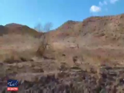 فیلم/ مشاهده دو یوز آسیایی در خراسان رضوی