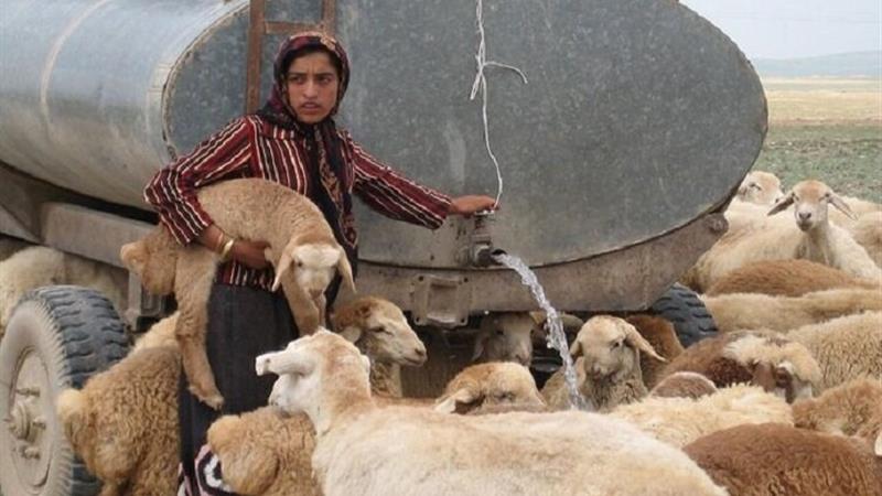 عشایر خراسان شمالی غرق در بی آبی در مناطق قشلاقی