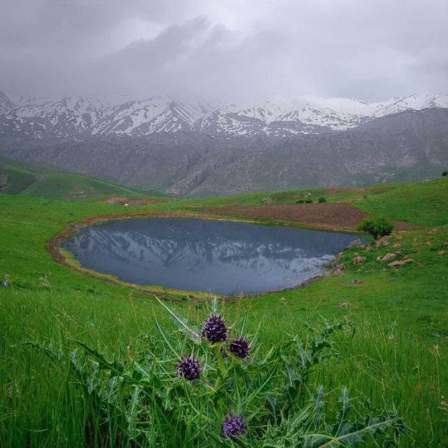 تصاویر دیدنی از طبیعت زیبای نهاوند 