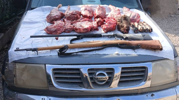 شکارچیان کل وحشی در گچساران به دام قانون افتادند