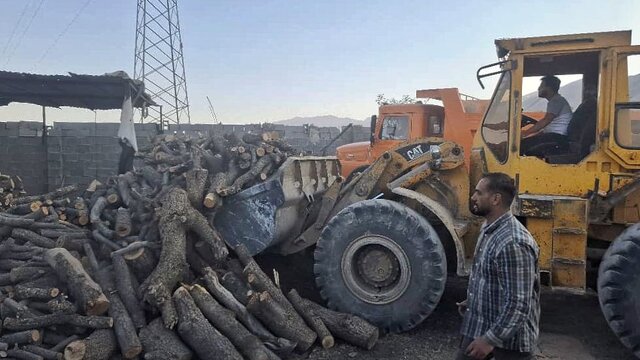 کشف ۲۵ تُن هیزم و ۱۱ تن زغال از قاچاقچیان چوب در کازرون