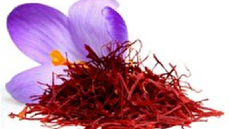 هفتمین رویداد گردشگری زعفران و سومین رویداد گردشگری بِه در بهاباد