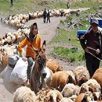 آغاز کوچ عشایر خراسان شمالی به مناطق قشلاقی