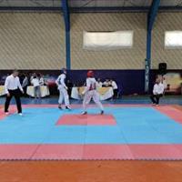 برگزاری رقابت های تکواندو‌ جام شهدای اقتدار