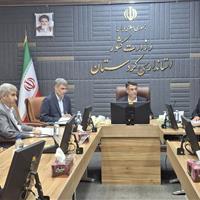 معاون استاندار: اجرای طرح «جی‌نف» در کردستان نیازمند هم‌افزایی همه دستگاه‌هاست