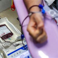 رشد بیش از ۲۵ درصدی اهدای خون توسط بانوان در استان ایلام