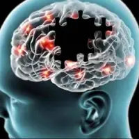 تغذیه مناسب برای افرادی که دچار آلزایمر شده‌اند