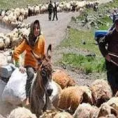 عشایر خراسان شمالی غرق در بی آبی در مناطق قشلاقی