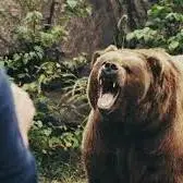 حمله خرس و آسیب دیدن شدید یک مرد