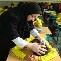 کاهش آلودگی شپش سر در مدارس یزد/ خانواده‌ها با مدارس همکاری کنند