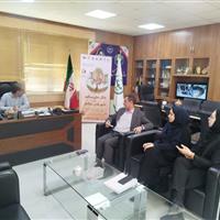 رئیس جهاد کشاورزی ایلام: افزایش آگاهی عمومی درباره اهمیت خاک ضرورت دارد