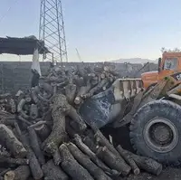 کشف ۲۵ تُن هیزم و ۱۱ تن زغال از قاچاقچیان چوب در کازرون